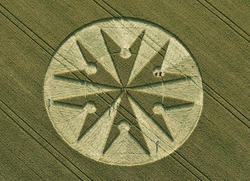 Chute Causeway,   Tidcombe,  Wiltshire  ,  10   2013.